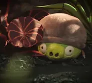 Angry Birds on The Run: 2×5