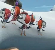 Puffins – The Series: 1×131