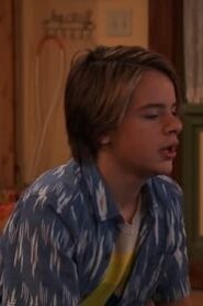 Nicky, Ricky, Dicky & Dawn: 3×22