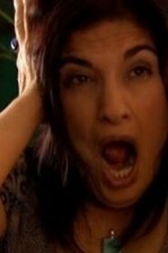 The Sarah Jane Adventures: 2×11