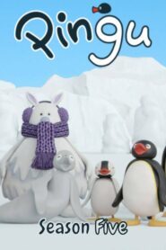 Pingu: Season 5