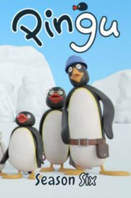 Pingu: Season 6