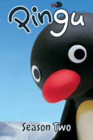 Pingu: Season 2