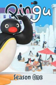 Pingu: Season 1